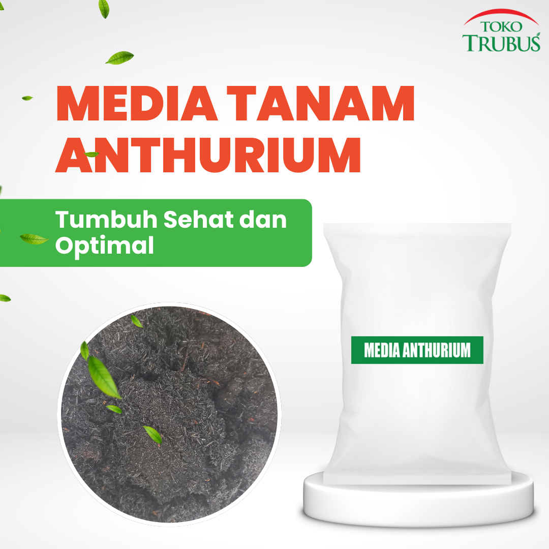Media Tanam Anthurium