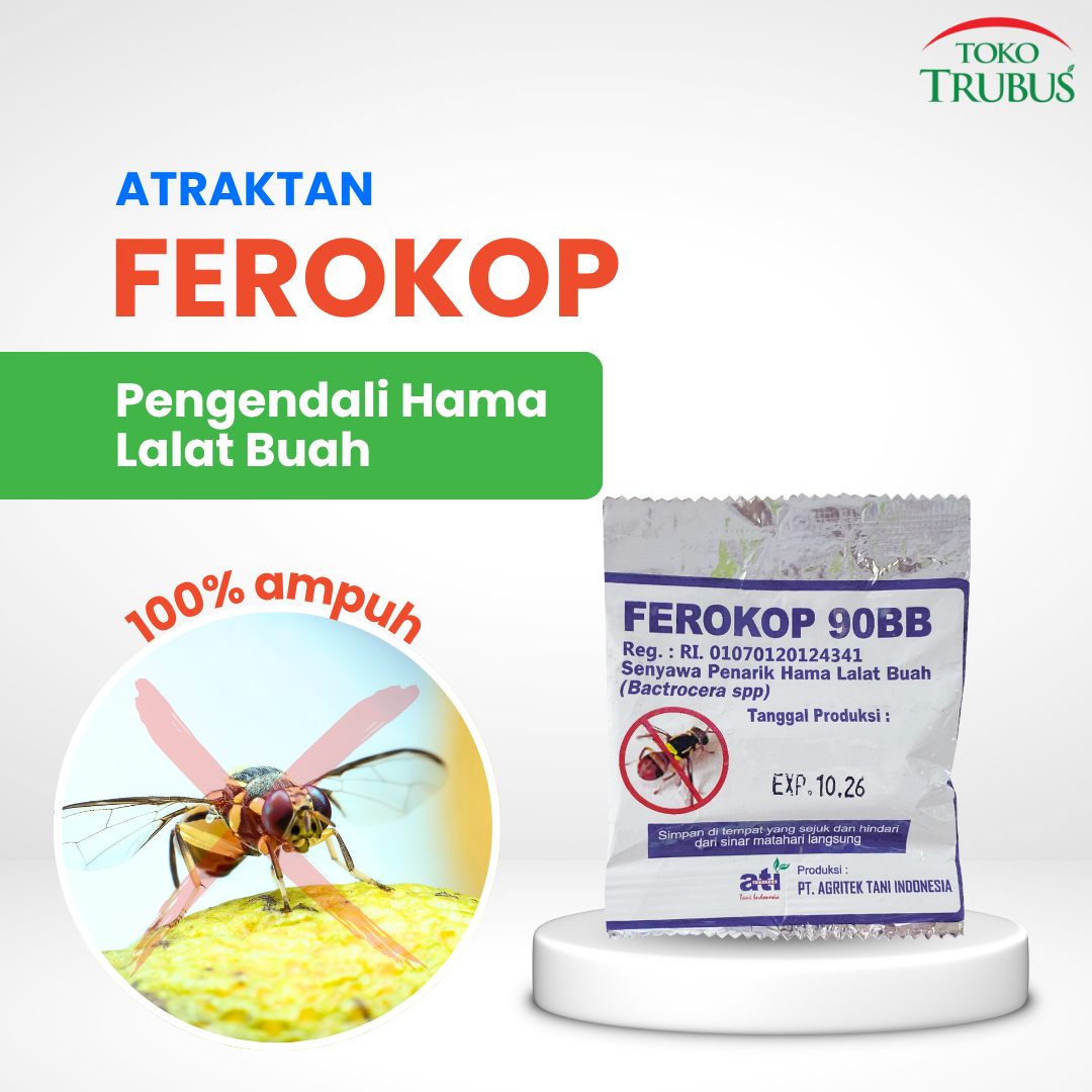 TRUBUS - ATRAKTAN FEROKOP 90BB