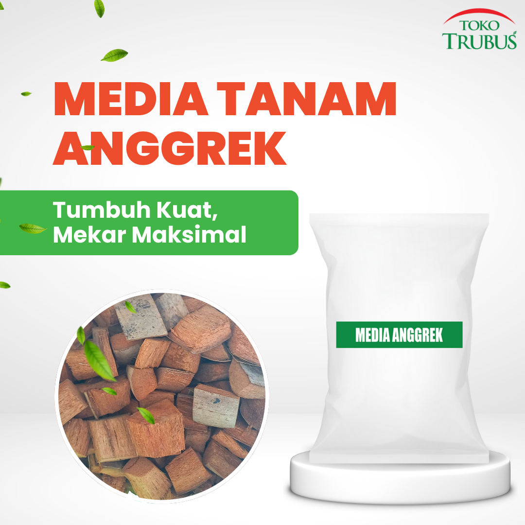 TRUBUS - MEDIA ANGGREK