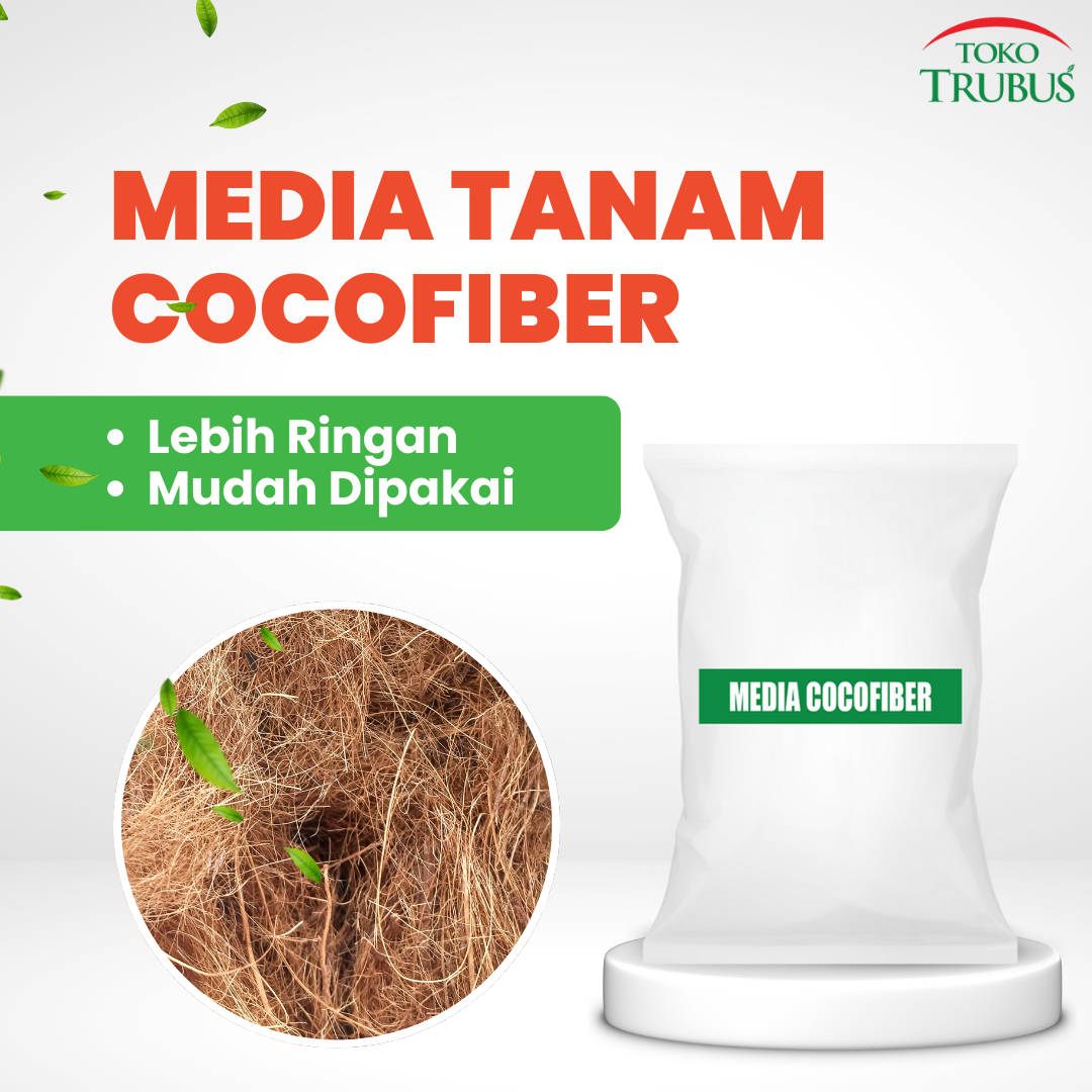 TRUBUS - MEDIA COCOFIBER