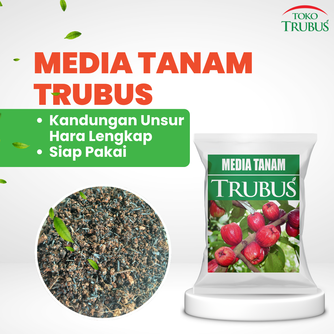 TRUBUS - MEDIA TANAM TRUBUS